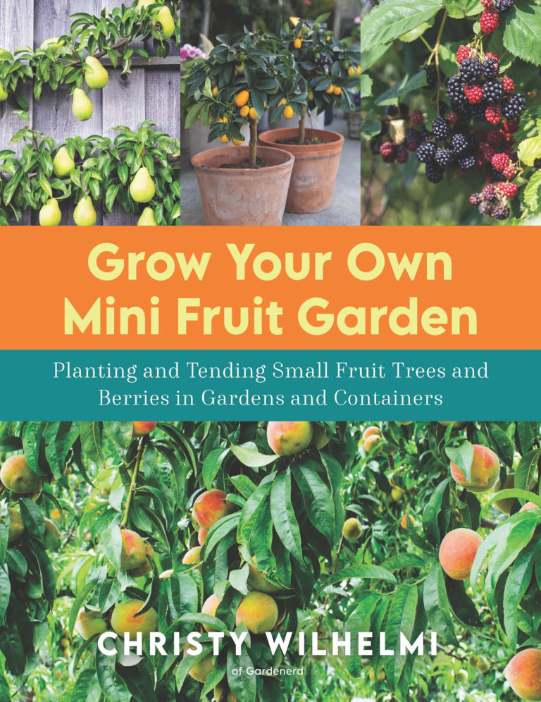Grow Your Own Mini Fruit Garden